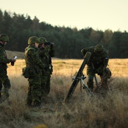 What Happened to NATO?