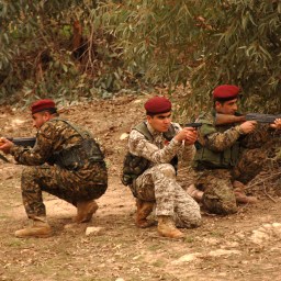 US Aid to Kurdish Peshmerga – A Double-Edged Sword