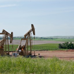 Oil Prices Will Stay Volatile – and It’s All America’s Fault