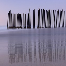 On the Border, Fallacy Trumps Fact